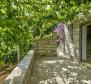 Villa for sale on Brac island, Splitska - pic 18