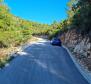 Terrain agricole unique à Peljesac, plus de 21 hectares, 1ère rangée de la mer - pic 7