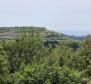 Städtisches Grundstück zum Verkauf in Buje, für 3 Luxusvillen, mit herrlichem Meerblick - foto 4