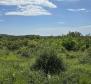 Städtisches Grundstück zum Verkauf in Buje, für 3 Luxusvillen, mit herrlichem Meerblick - foto 11