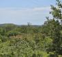 Städtisches Grundstück zum Verkauf in Buje, für 3 Luxusvillen, mit herrlichem Meerblick - foto 12