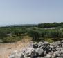 Olive grove on Krk with a farm building - pic 4