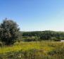 Építési telek Buje területén az építési övezet szélén, panorámás kilátással  - pic 6