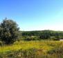 Building plot in Buje area on the edge of the construction zone, panoramic view  - pic 9