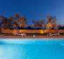 Villa with pool in Vodnjan, to buy - pic 16