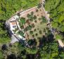 Olive grove with auxiliary building, only 150 meters from the sea, rarity in the offer on Krk! - pic 5