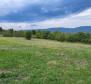 Baugrundstück + Ackerland in Motovun, zu verkaufen - foto 4