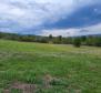 Construction + agri land in Motovun, for sale - pic 5