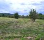 Construction + agri land in Motovun, for sale - pic 8