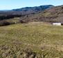 Stavební pozemek 1970 m2 s výhledem na Motovun, nebo prodej - pic 3