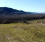 Stavební pozemek 1970 m2 s výhledem na Motovun, nebo prodej - pic 4