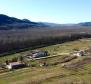 Stavební pozemek 1970 m2 s výhledem na Motovun, nebo prodej - pic 6