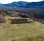 Stavební pozemek 1970 m2 s výhledem na Motovun, nebo prodej - pic 10