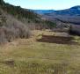 Stavební pozemek 1970 m2 s výhledem na Motovun, nebo prodej - pic 11