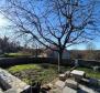 Stone house with tavern in nature in Pazin - pic 9