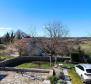 Stone house with tavern in nature in Pazin - pic 29