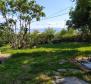 Detached old Italian villa from 1912 with a sea view and 2,383 m2 garden in Rijeka, for sale - pic 59