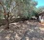 Maison au 1er rang de la mer sur l'île de Cres, à vendre - pic 13