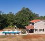 Villa individuelle en pierre avec piscine dans la région de Labin, à vendre - pic 6