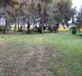 Grand estate in Novigrad, on 15.000m2 of land, for sale - pic 10