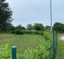 Grand estate in Novigrad, on 15.000m2 of land, for sale - pic 16