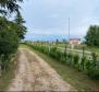 Grand estate in Novigrad, on 15.000m2 of land, for sale - pic 22