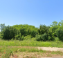 Building land in Umag area, T1, T2, T3 zones, 200m from the sea, for sale - pic 2