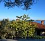 Unique villa on the 1st row to the sea in Umag area, for sale - pic 20