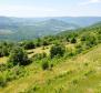 Land in Motovun, for sale - pic 10