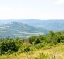 Land in Motovun, for sale - pic 16