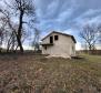 House in Višnjan on grand terrain of 4939 sq.m., for sale - pic 2