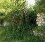 Unique property for adaptation in Duga Luka, Labin on 9632 sq.m. of land - pic 8