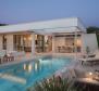 Luxury glamorous villa with pool worth Brad Pitt stay - pic 24