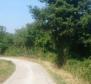 Agricultural land for sale in Ripenda Kras in Labin area, 56.000m2 - pic 4