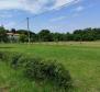 Large estate in Katoro area of Umag just 500 meters from the sea, land plot of 7357 sq.m. - pic 22