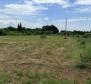 Large estate in Katoro area of Umag just 500 meters from the sea, land plot of 7357 sq.m. - pic 23