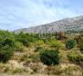 Fantastic urbanized land in Stanici, Omis riviera - rarity at the market! - pic 7