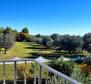 A unique rustic villa with a view of the Brijuni Islands in Galizana! - pic 59