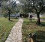 A unique rustic villa with a view of the Brijuni Islands in Galizana! - pic 71