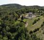 Complexe de terrains unique à Motovun - pic 5