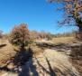 Fantastic estate for sale in Svetvincenat on 27.283m2 of land - pic 15