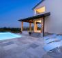 Bemerkenswerte Villa mit Swimmingpool in der Gegend von Poreč - foto 3