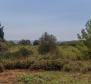 Urbanized land for sale in Premantura, T2 purpose - pic 2