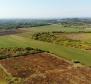 Terrain spacieux à vendre dans la région de Buje, à usage agricole, 39.178m2 - pic 3