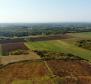 Terrain spacieux à vendre dans la région de Buje, à usage agricole, 39.178m2 - pic 4