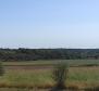 Terrain spacieux à vendre dans la région de Buje, à usage agricole, 39.178m2 - pic 11