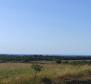 Terrain spacieux à vendre dans la région de Buje, à usage agricole, 39.178m2 - pic 12