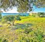 Villa à seulement 50 mètres de la mer à Supetarska Draga sur l'île de Rab - pic 6