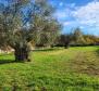 Einfamilienhaus mit großem Garten in der Gegend von Rovinj - foto 3