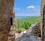 Designer-Steinhaus mit spektakulärem Meerblick in der Gegend von Buje - foto 73